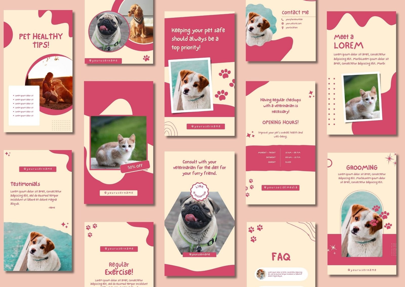Pet Shop Email Template